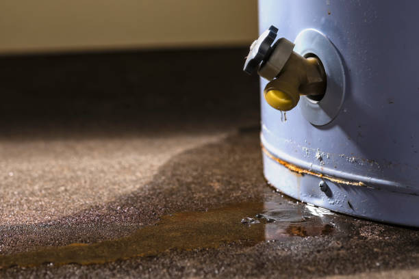 Best Sewage cleanup and water damage restoration  in Woodson Terrace, MO