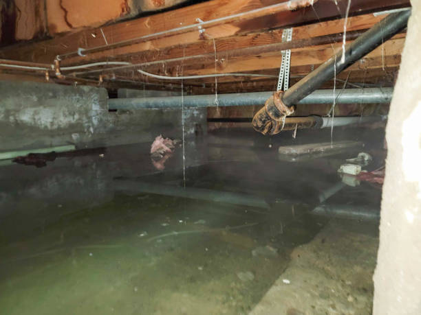 Best Commercial water damage restoration  in Woodson Terrace, MO