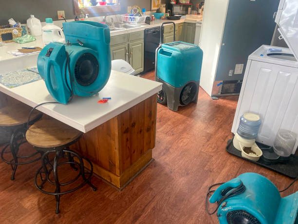 Best Basement water damage restoration  in Woodson Terrace, MO