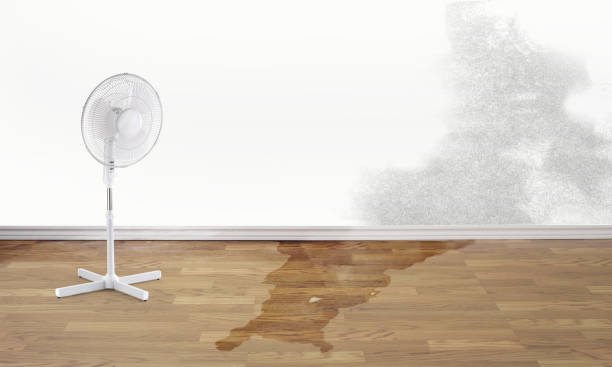 Best Flood restoration services  in Woodson Terrace, MO