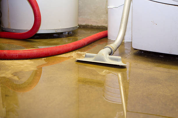 Best Water damage contractors near me  in Woodson Terrace, MO