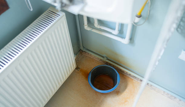 Best Flooded house restoration  in Woodson Terrace, MO